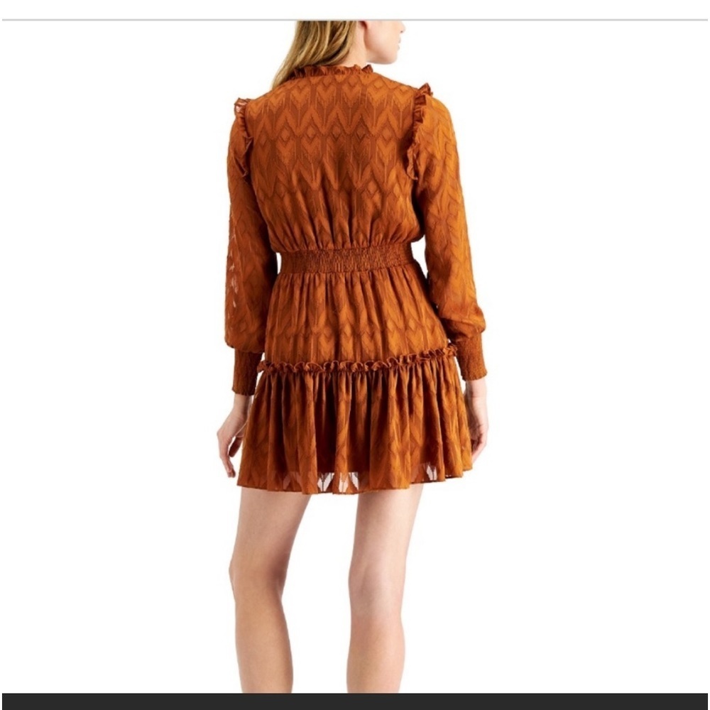 Vintage Style Ruffled Mini Dress - Picture 12 of 13